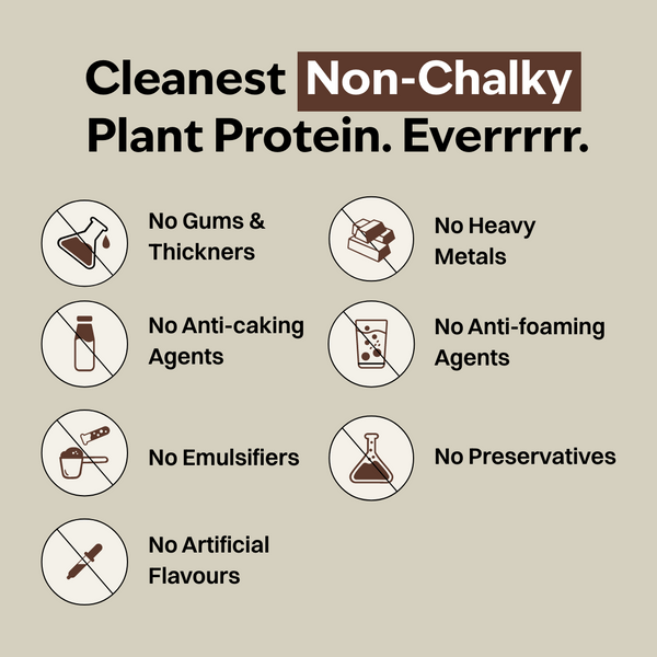 Dutch Cocoa 22g Plant Protein