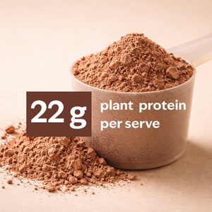 Dutch Cocoa 22g Plant Protein