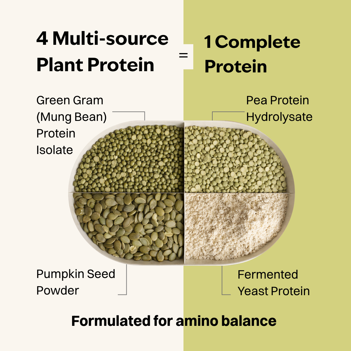 Dutch Cocoa 22g Plant Protein