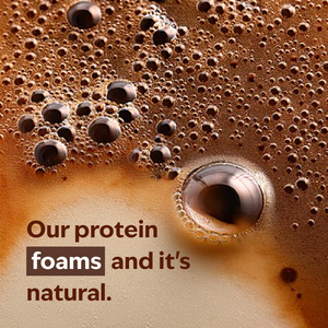 Dutch Cocoa 22g Plant Protein