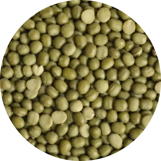 Mung Bean Protein