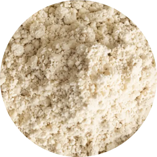 Fermented Yeast Protein
