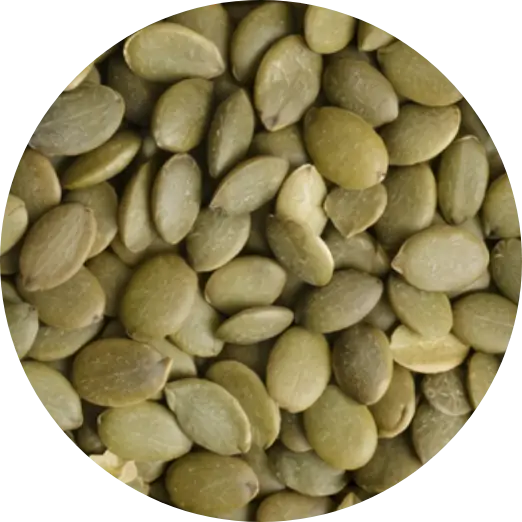 Pumpkin Seed Protein